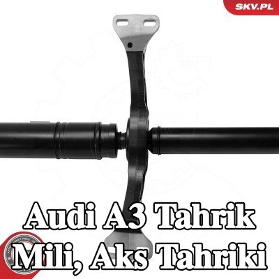 ESEN SKV Tahrik Mili, aks tahriki Arka Aks — Audi A3