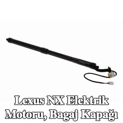 ACKOJA Elektrik motoru, bagaj kapağı — Lexus Nx