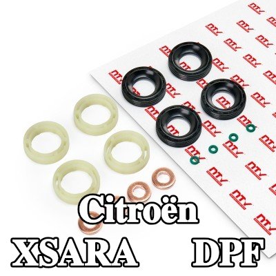NTY حاقن DPF — Citroën Xsara