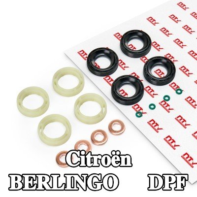 NTY حاقن DPF — Citroën Berlingo