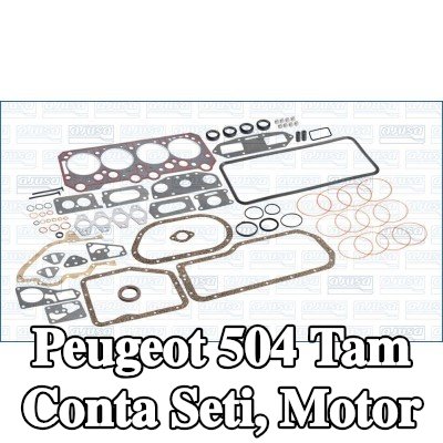 AJUSA Tam conta seti, motor — 1990 Peugeot 504