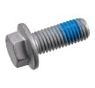 FEBI BILSTEIN Cıvata, fren kaliperi — Ford Focus (1)