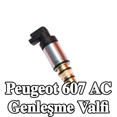 FAST AC genleşme valfi — Peugeot 607