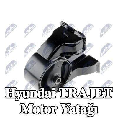 NTY Motor yatağı, arka — Hyundai Trajet
