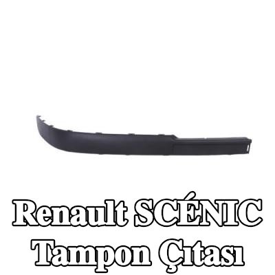 BLIC Sol Ön Tampon Çıtası — 2002 Renault Scénic
