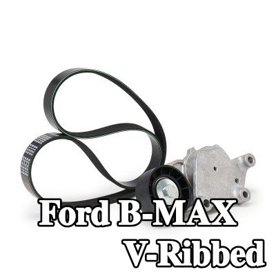 FEBI BILSTEIN مجموعة أحزمة V-Ribbed — Ford B-max