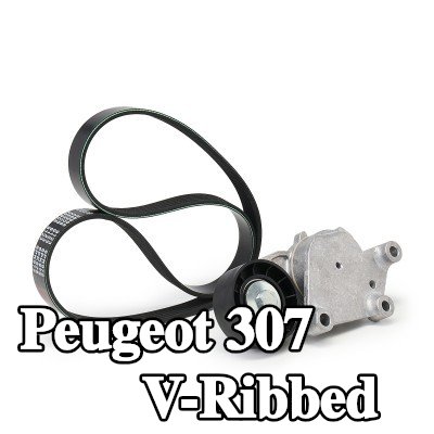 FEBI BILSTEIN مجموعة أحزمة V-Ribbed — 2002 Peugeot 307