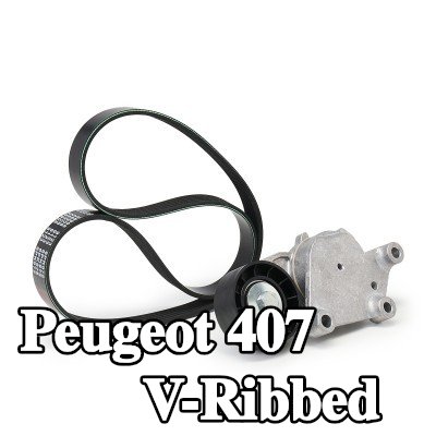 FEBI BILSTEIN مجموعة أحزمة V-Ribbed — 2004 Peugeot 407