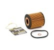 RIDEX PLUS Filtre kiti — 2002 Land Rover Range Rover (4)