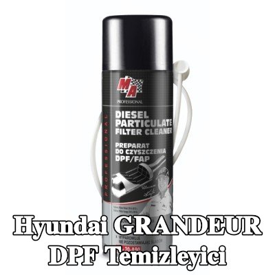 MA PROFESSIONAL DPF temizleyici DPF CLEANER — Hyundai Grandeur