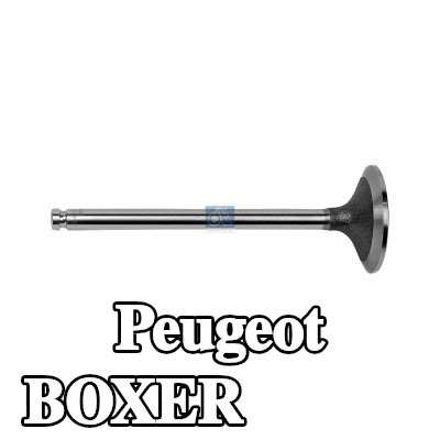 DT Spare Parts صمام السحب — 2003 Peugeot Boxer