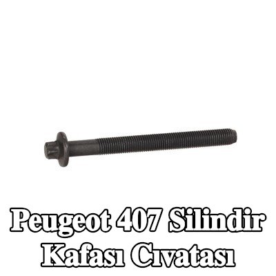 MOPAR Silindir Kafası Cıvatası — Peugeot 407