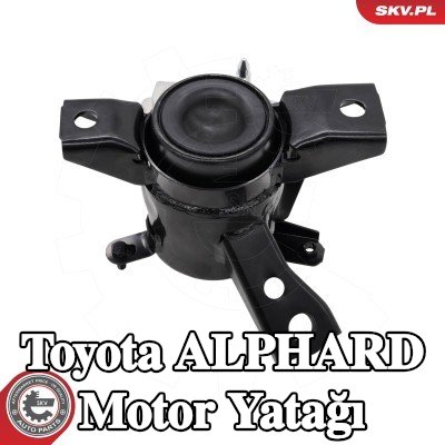 ESEN SKV Sağ Ön Motor Yatağı — Toyota Alphard