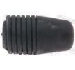 FEBEST Tampon, kaput — Ford Focus (1)