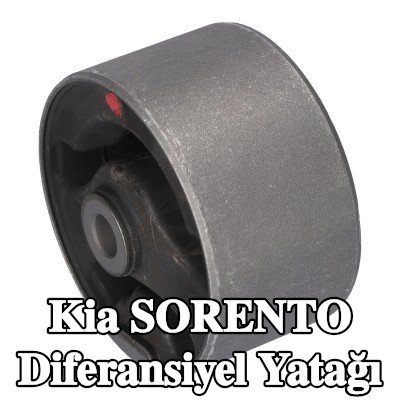 FEBI BILSTEIN Diferansiyel yatağı Arka — Kia Sorento