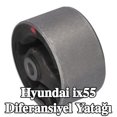 FEBI BILSTEIN Diferansiyel yatağı Arka — Hyundai ix55