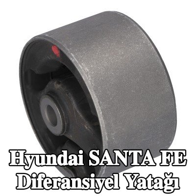 FEBI BILSTEIN Diferansiyel yatağı Arka — 2012 Hyundai Santa Fe
