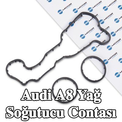 DR.MOTOR AUTOMOTIVE Yağ soğutucu contası — 2011 Audi A8