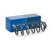 SACHS Helezon yay — Audi A4 (1)