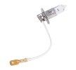 VALEO Uzun far ampulü ESSENTIAL, 55W, 12V — 2012 BMW 7 Series (3)