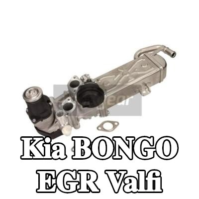MAXGEAR Contalı/sızdırmazlık elemanlı EGR valfi — 2002 Kia Bongo