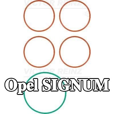 REINZ مجموعة حشيات، مشعب السحب — Opel Signum