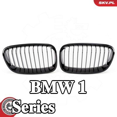 ESEN SKV شبكة المبرد - لامعة, أسود — BMW 1 Series