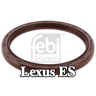 FEBI BILSTEIN حشية زيت العمود — Lexus Es