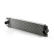 MAHLE Intercooler — Nissan Interstar (3)