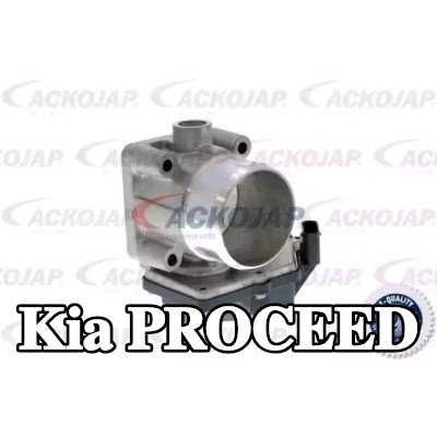 ACKOJA جسم الخانق مع حشية/مانع تسرب, يجب تدريب/تحديث وحدة التحكم/البرنامج — 2012 Kia Proceed