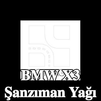 EUROL Şanzıman yağı Transfluid STF — BMW X3