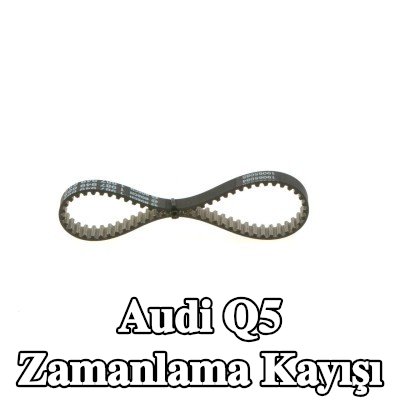 BOSCH Triger Kayışı Diş Sayısı: 67, 335mm — Audi Q5