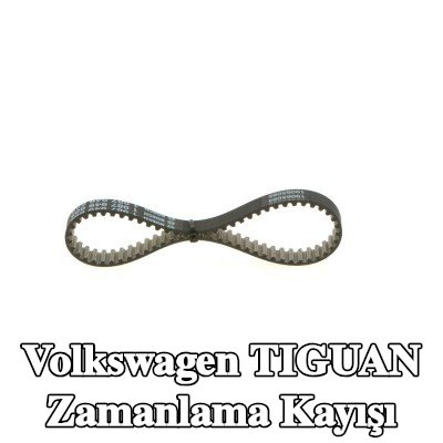 BOSCH Triger Kayışı Diş Sayısı: 67, 335mm — Volkswagen Tiguan