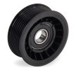 SKF Saptırma / kılavuz kasnağı, V-ribbed belt Ø: 76, 1mm — Honda Crossroad (3)