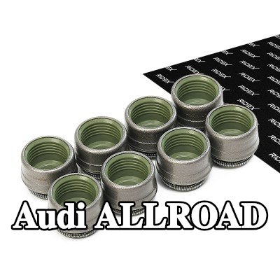 RIDEX مجموعة سدادات صمامات الصمامات — Audi Allroad
