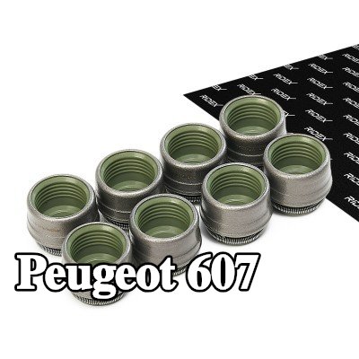 RIDEX مجموعة سدادات صمامات الصمامات — Peugeot 607