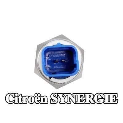 METZGER مفتاح ضغط الزيت، التوجيه المعزز — Citroën Synergie