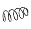 SACHS Helezon yay — SEAT Ibiza (2)