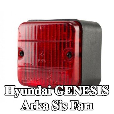 XL Arka sis lambası Arka, sabitleme malzemesi ile, ampuller olmadan — Hyundai Genesis