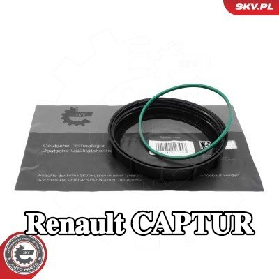 ESEN SKV مانع تسرب، وحدة مستشعر مستوى الوقود — Renault Captur