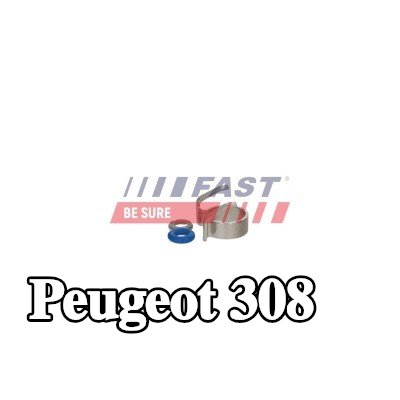 FAST طقم إصلاح، وحدة المضخة والفوهة — Peugeot 308