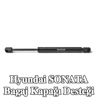 MONROE Bagaj kapağı desteği 298mm — 2002 Hyundai Sonata