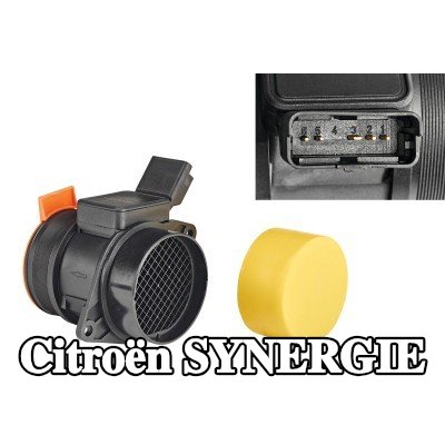 VALEO مستشعر تدفق الهواء الكلي 12V, مع مستشعر درجة حرارة الهواء المدمج — Citroën Synergie