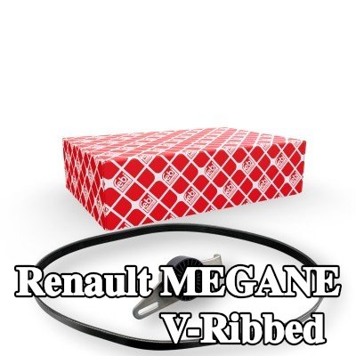 FEBI BILSTEIN مجموعة أحزمة V-Ribbed — 1997 Renault Megane