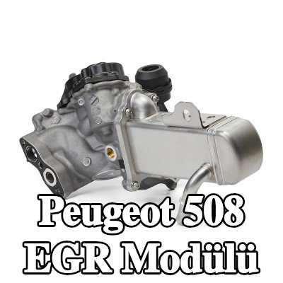 VALEO EGR soğutuculu EGR Modülü, conta/sızdırmazlık elemanları ile, EGR valfli, vakum baypaslı, kelepçe olmadan, ORIGINAL PART — 2012 Peugeot 508