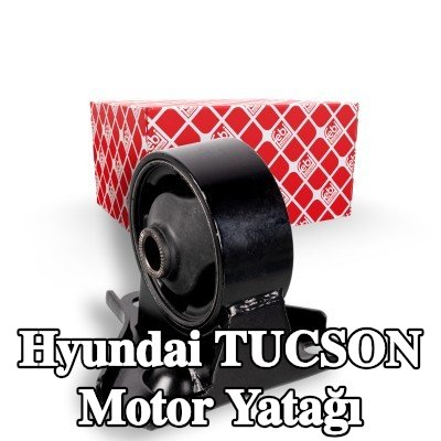 FEBI BILSTEIN Motor yatağı Ön — 2004 Hyundai Tucson