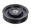 FEBI BILSTEIN Saptırma / kılavuz kasnağı, V-ribbed belt Outer Diameter: 85mm — Nissan Cabstar E (2)