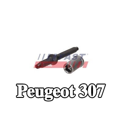 FAST برغي مشبك الحاقن — Peugeot 307