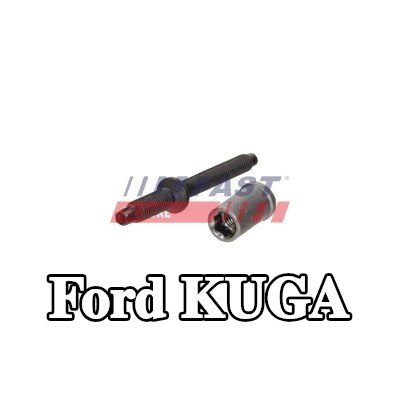 FAST برغي مشبك الحاقن — 2012 Ford Kuga