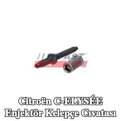 FAST Enjektör kelepçe cıvatası — Citroën C-elysée